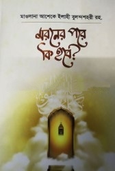 মরনের পরে কি হবে?