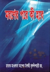 মরণের পরে কী হবে