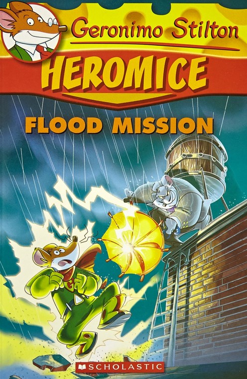 HEROMICE FLOOD MISSION