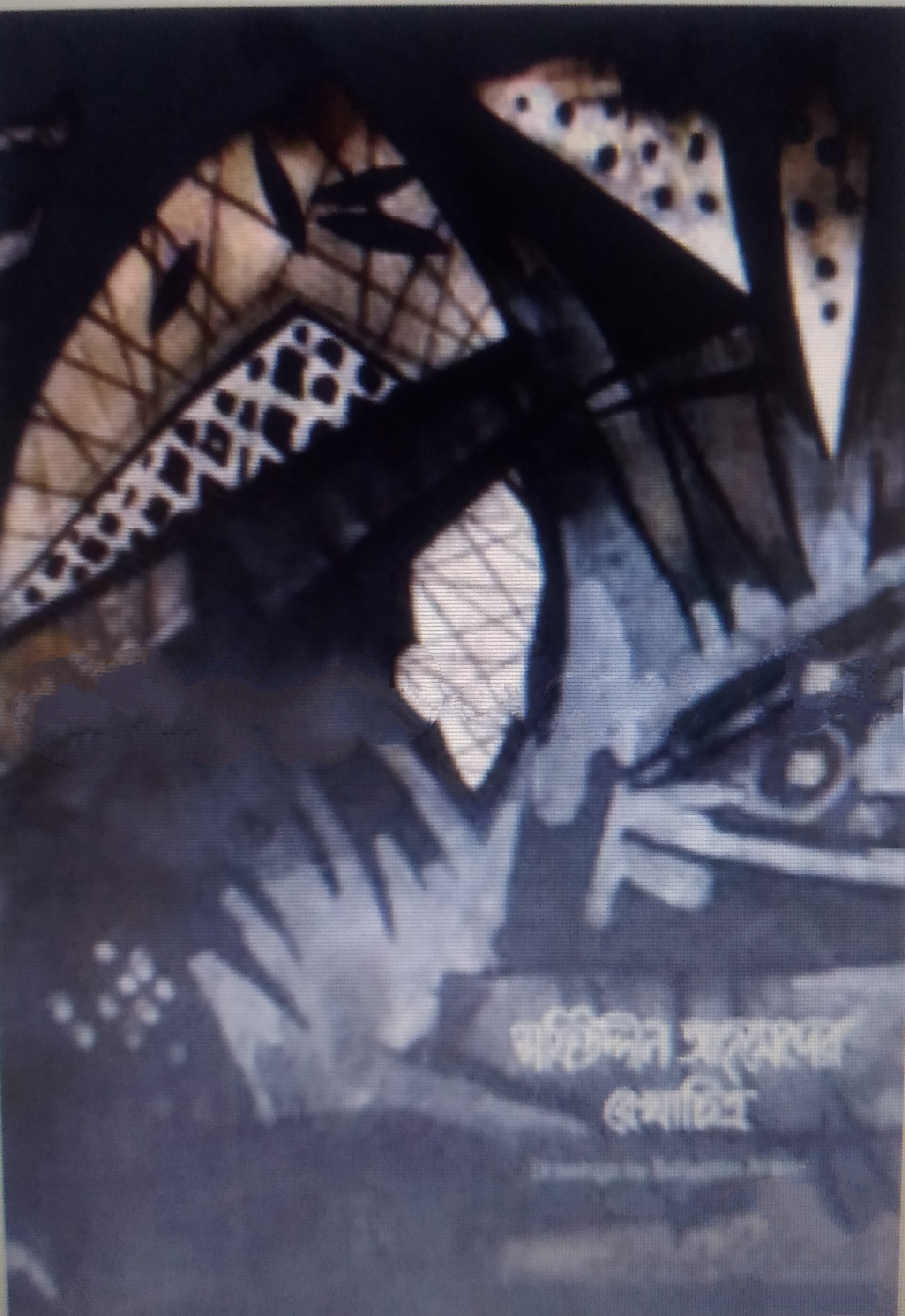 SAFFIUDDIN AHMEDER REKHACHITRO