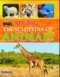 MY BIG ENCYCLOPEDIA OF ANIMALS