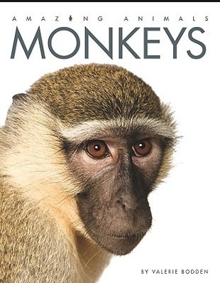 MONKEYS