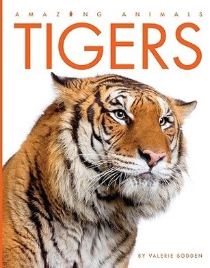 TIGERS