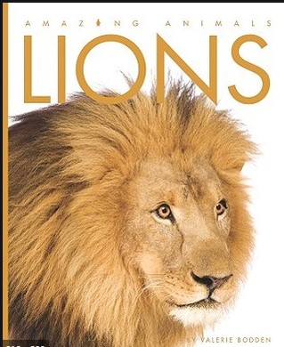 LIONS