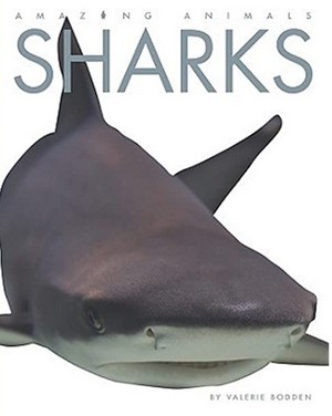 SHARKS