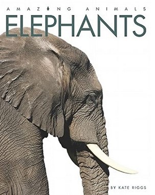 ELEPHANTS