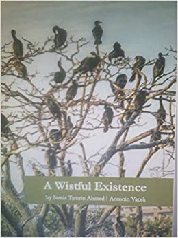 A WISTFUL EXISTENCE