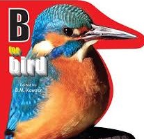 B FOR BIRD