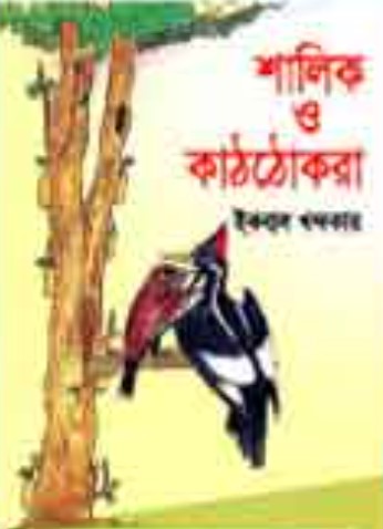 শালিক ও কাঠঠোকরা