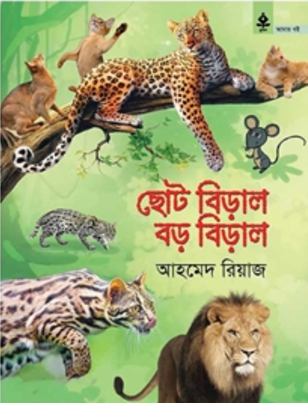 ছোট বিড়াল বড় বিড়াল