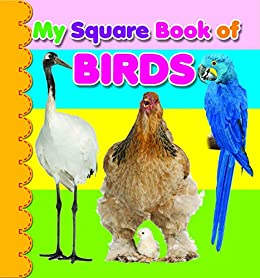 MY SQUARE BOARD BOOK: BIRDS