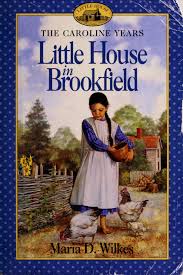 LITTLE HOUSE IN BROOKFIELD
