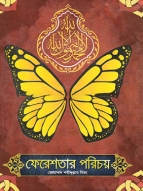ফেরেশতার পরিচয়