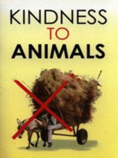 KINDNESS TO ANIMALS