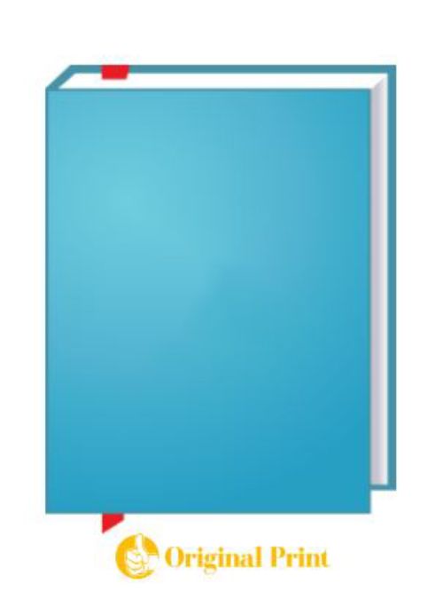 GUIDE TO COMPANY BALANCE SHEET & PROFIT & LOSS ACCOUNT, 4TH ED.