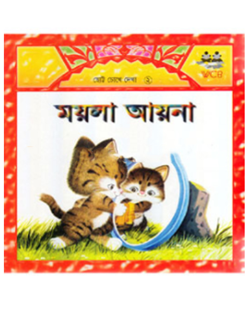ময়লা আয়না