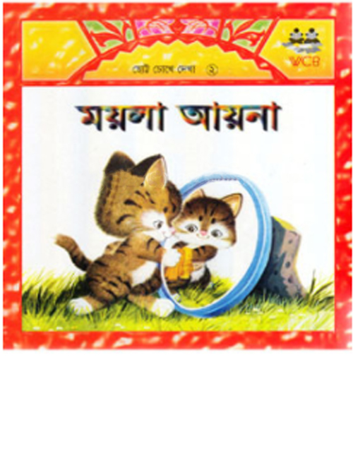 ময়লা আয়না