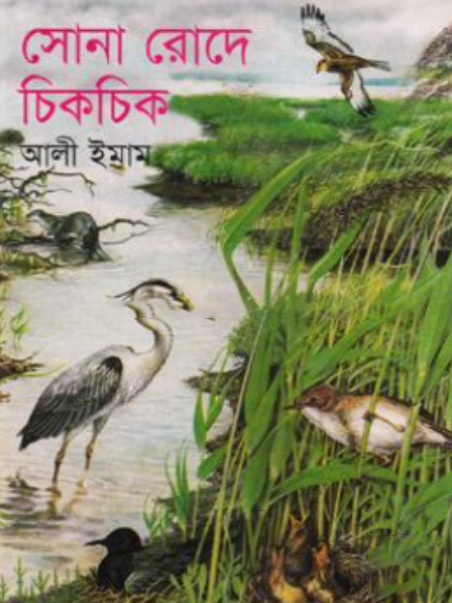 সোনা রোদে চিকচিক