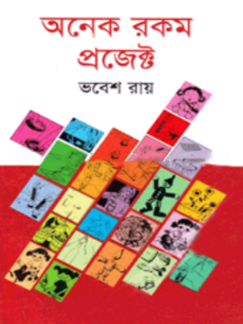 অনেক রকম প্রজেক্ট