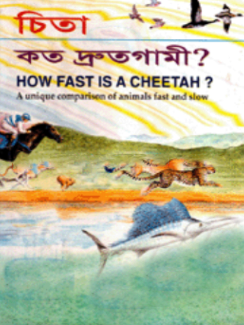 চিতা কত দ্রুতগামী?