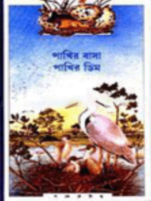 পাখির বাসা পাখির ডিম
