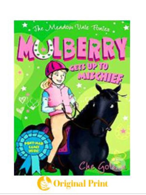 MEADOW VALE PONIES: MULBERRY GETS UP TO MISCHIEF