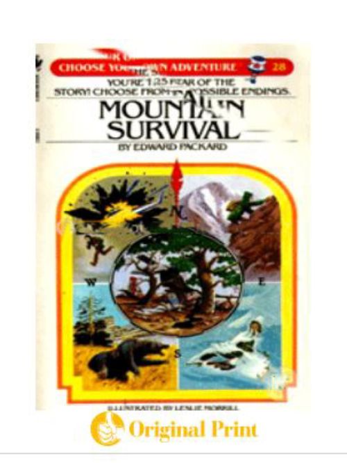 MOUNTAIN SURVIVAL (CHOOSE YOUR OWN ADVENTURE: 28)