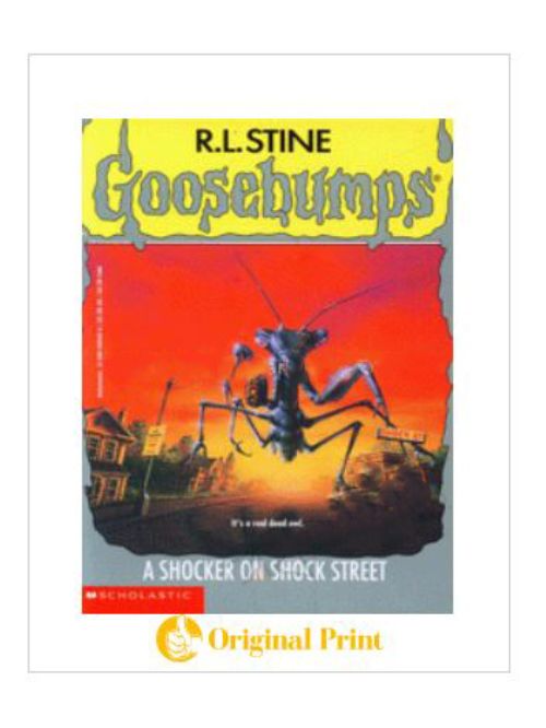 GOOSEBUMPS: A SHOCKER OF SHOCK STREET (BOOK 35)