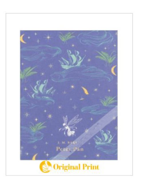 PUFFIN CLASSICS : PETER PAN