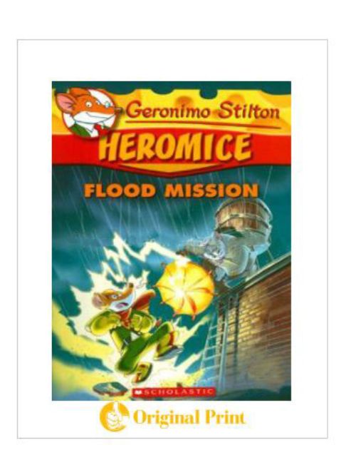 HEROMICE FLOOD MISSION