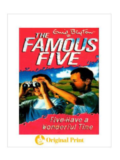 FAMOUS FIVE:11: FIVE HAVE A WONDERFUL TIME