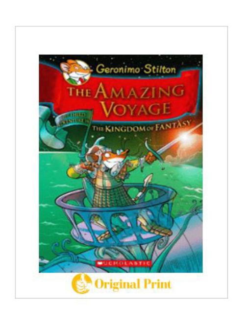 THE AMAZING VOYAGE