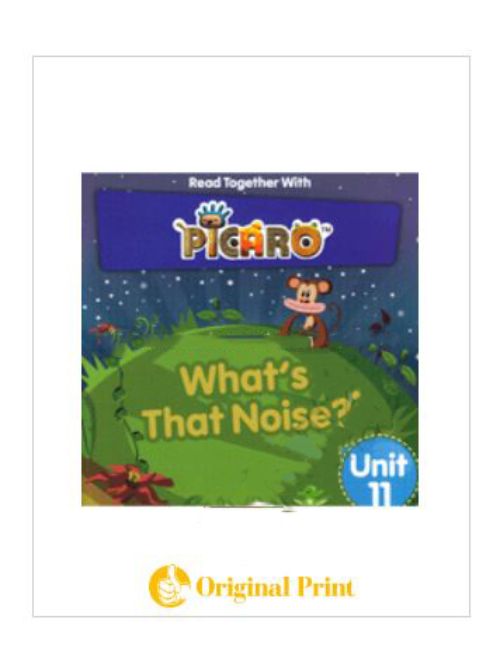 PICARO WHAT'S THAT NOISE? (UNIT 11)