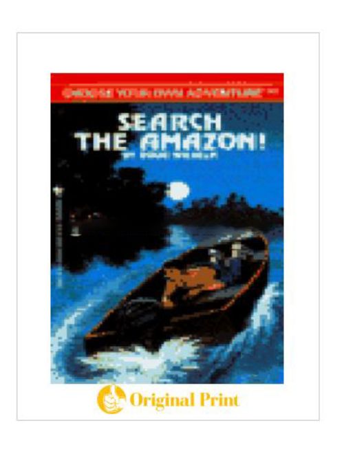 SEARCH THE AMAZON (CHOOSE YOUR OWN ADVENTURE -149)